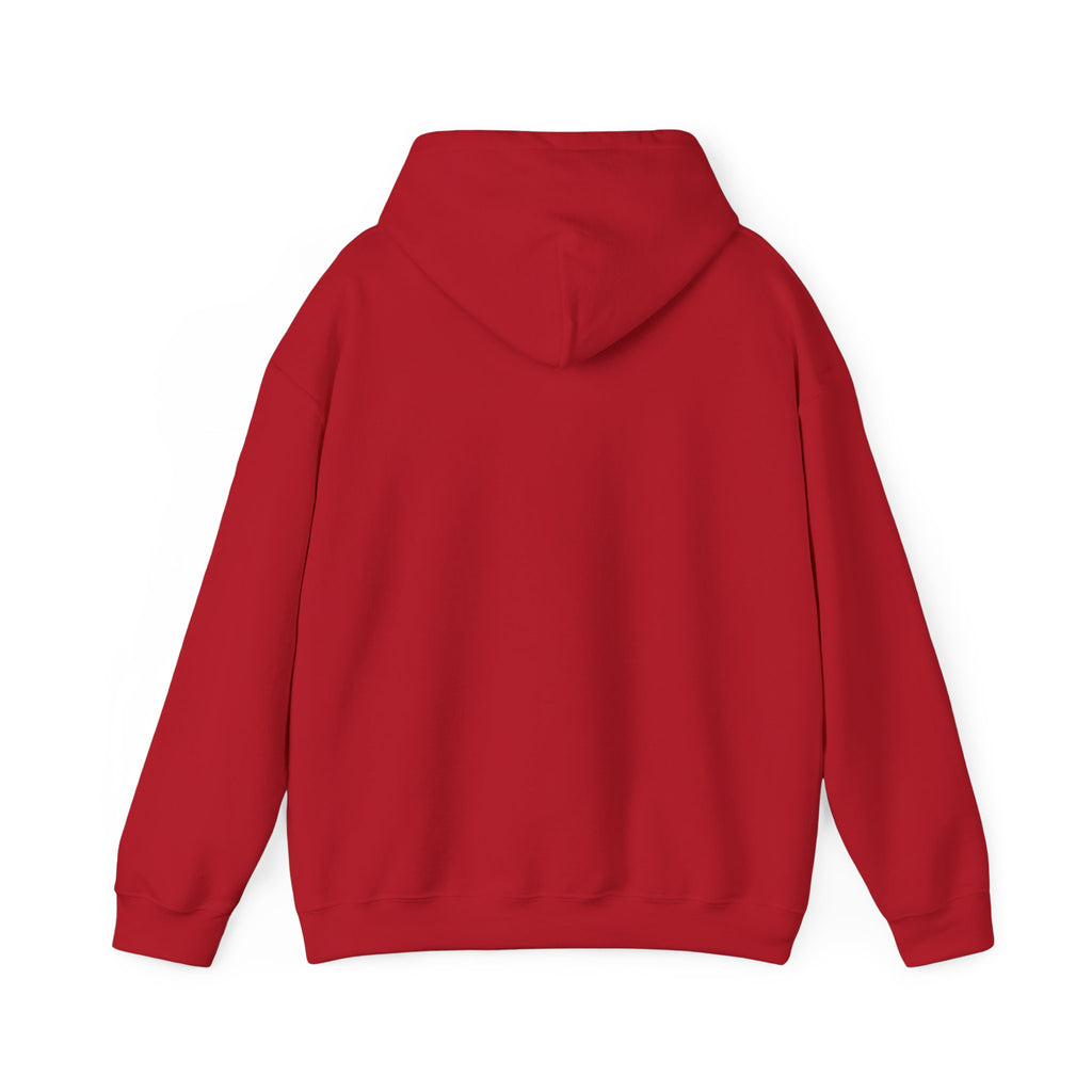 I'm Not Lazy, Just Energy Efficient Funny Casual Hoodie
