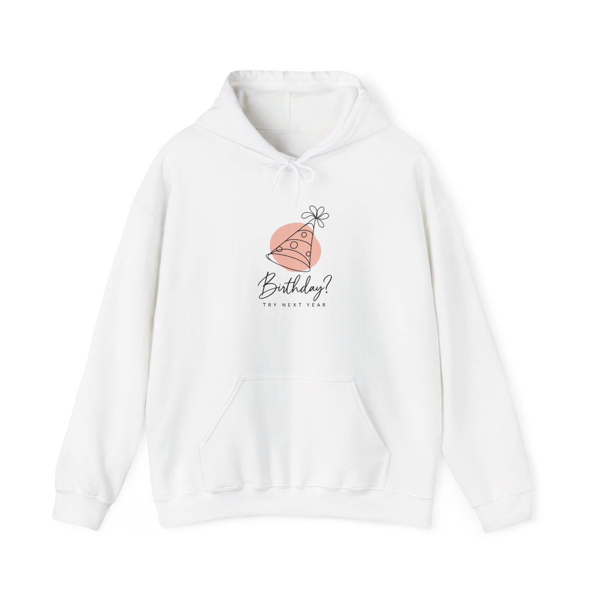 Birthday? Try Next Year Funny Sarcastic Hoodie