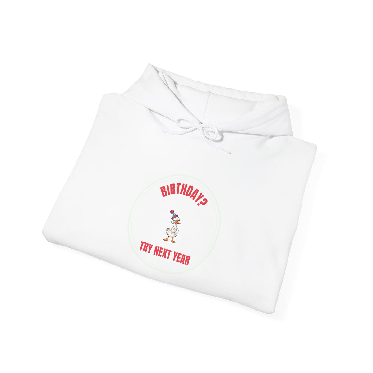 Birthday? Try Next Year Funny Sarcastic Hoodie