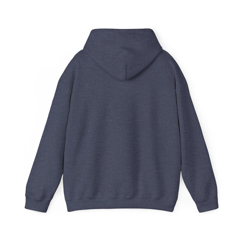 I'm Not Lazy, Just Energy Efficient Funny Casual Hoodie