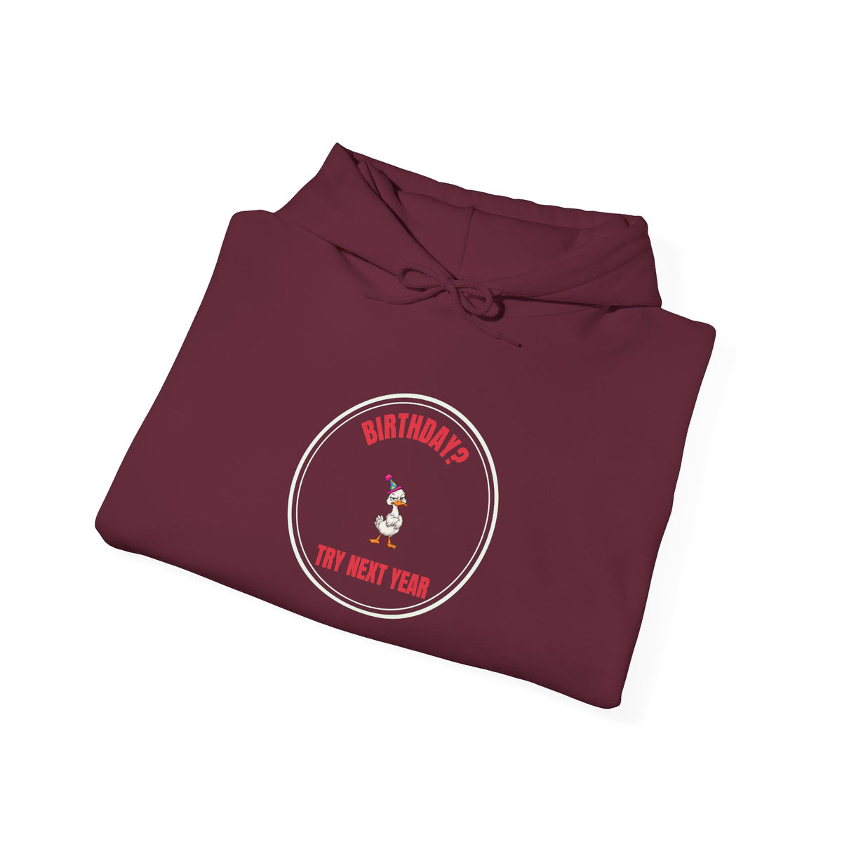 Birthday? Try Next Year Funny Sarcastic Hoodie