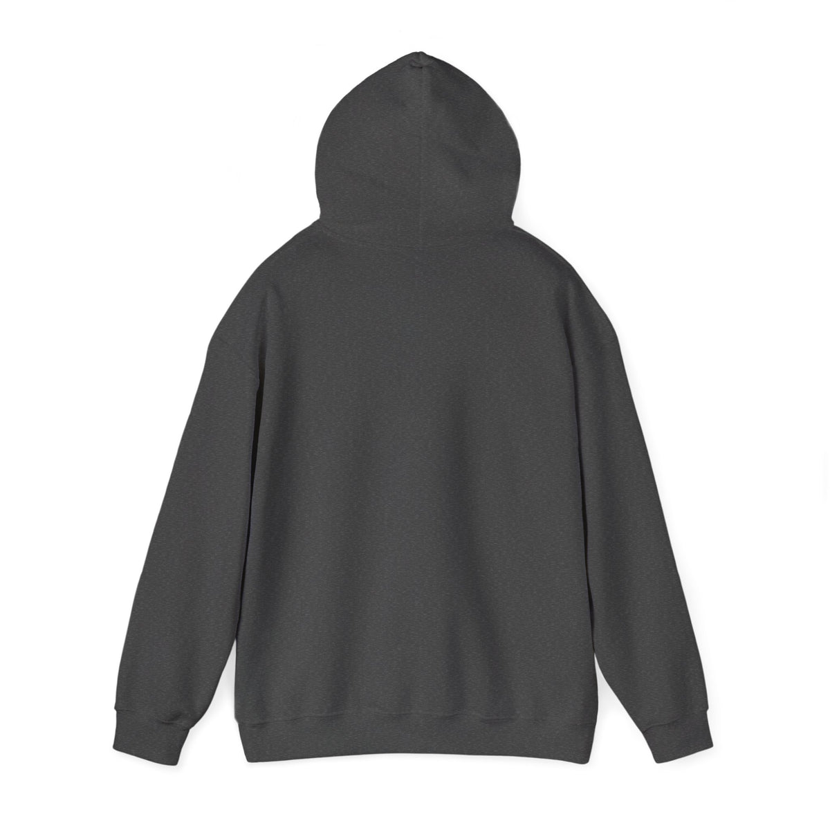 I'm Not Lazy, Just Energy Efficient Funny Casual Hoodie