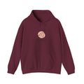 Birthday? Try Next Year Funny Sarcastic Hoodie