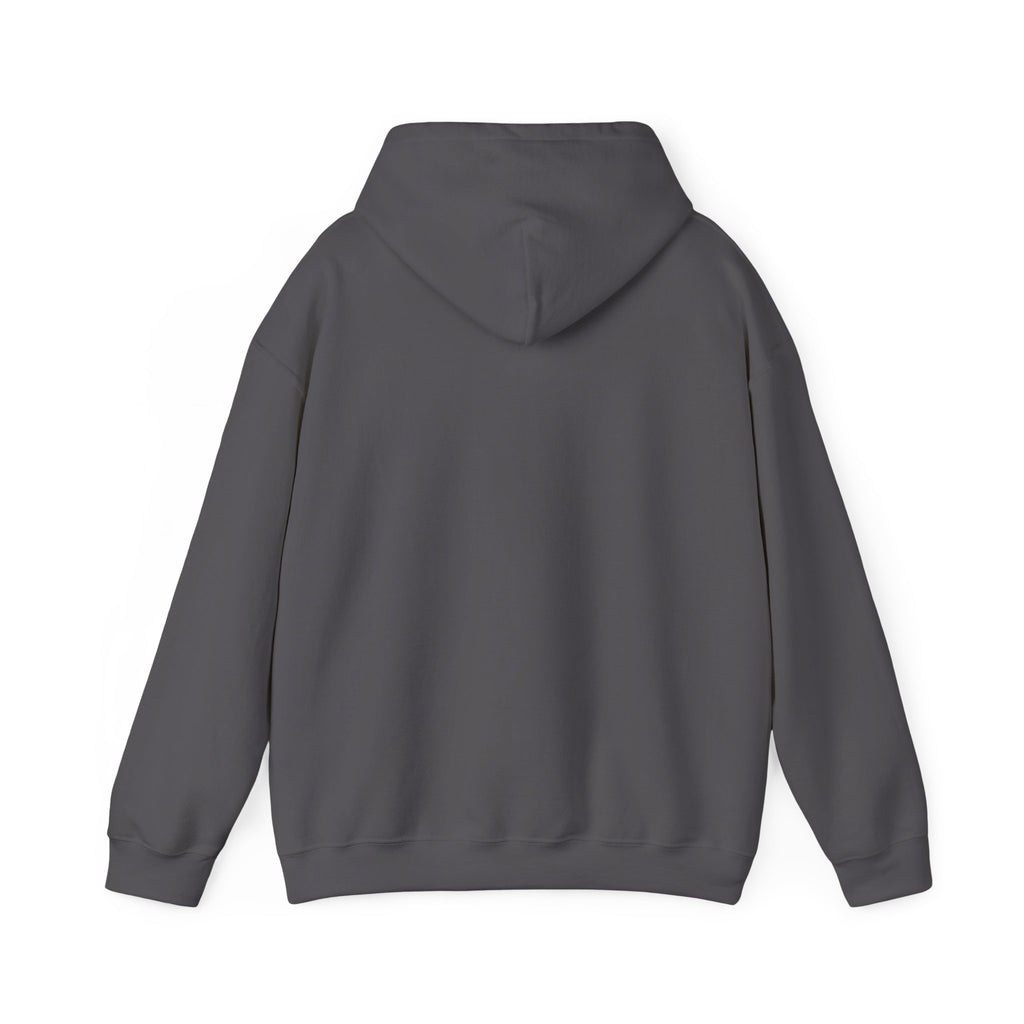 Today’s Schedule: Hell No Funny Christian Humor Hoodie