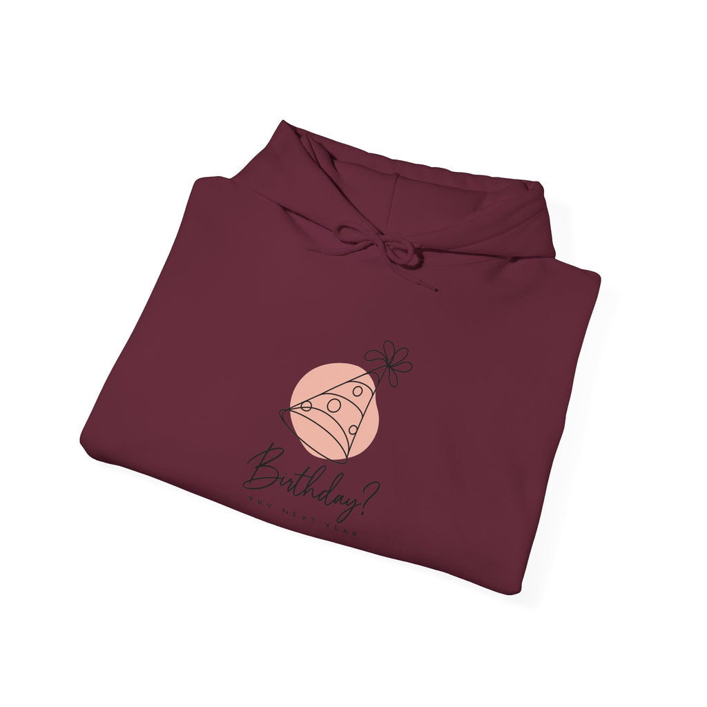 Birthday? Try Next Year Funny Sarcastic Hoodie