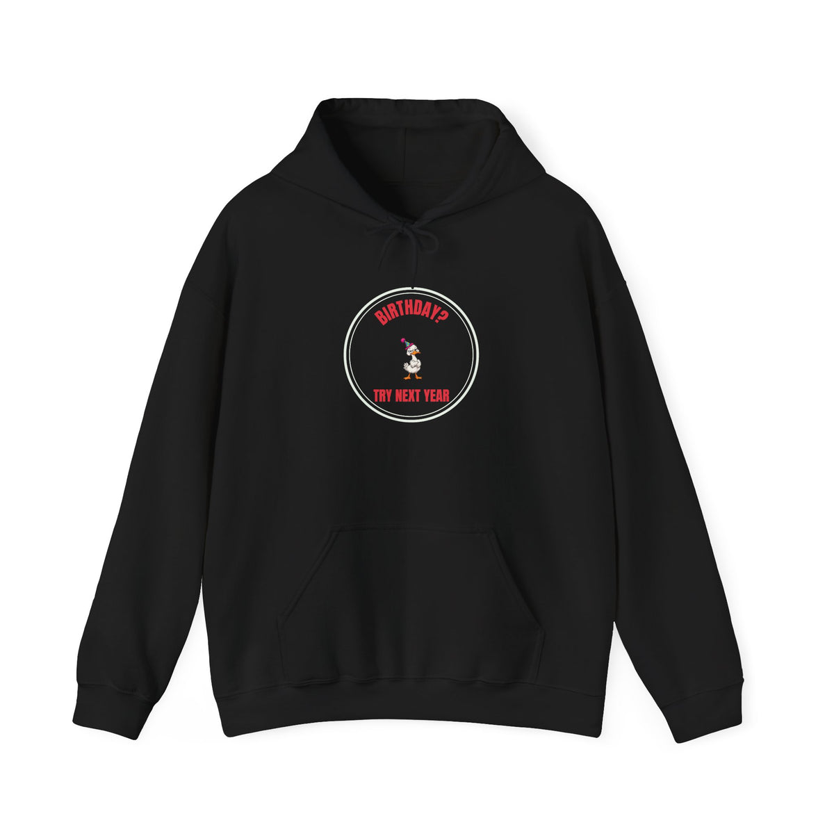 Birthday? Try Next Year Funny Sarcastic Hoodie