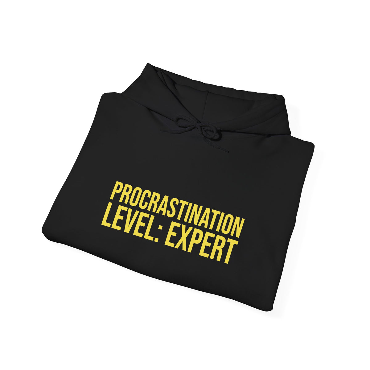 Procrastination Level: Expert Funny Student Hoodie