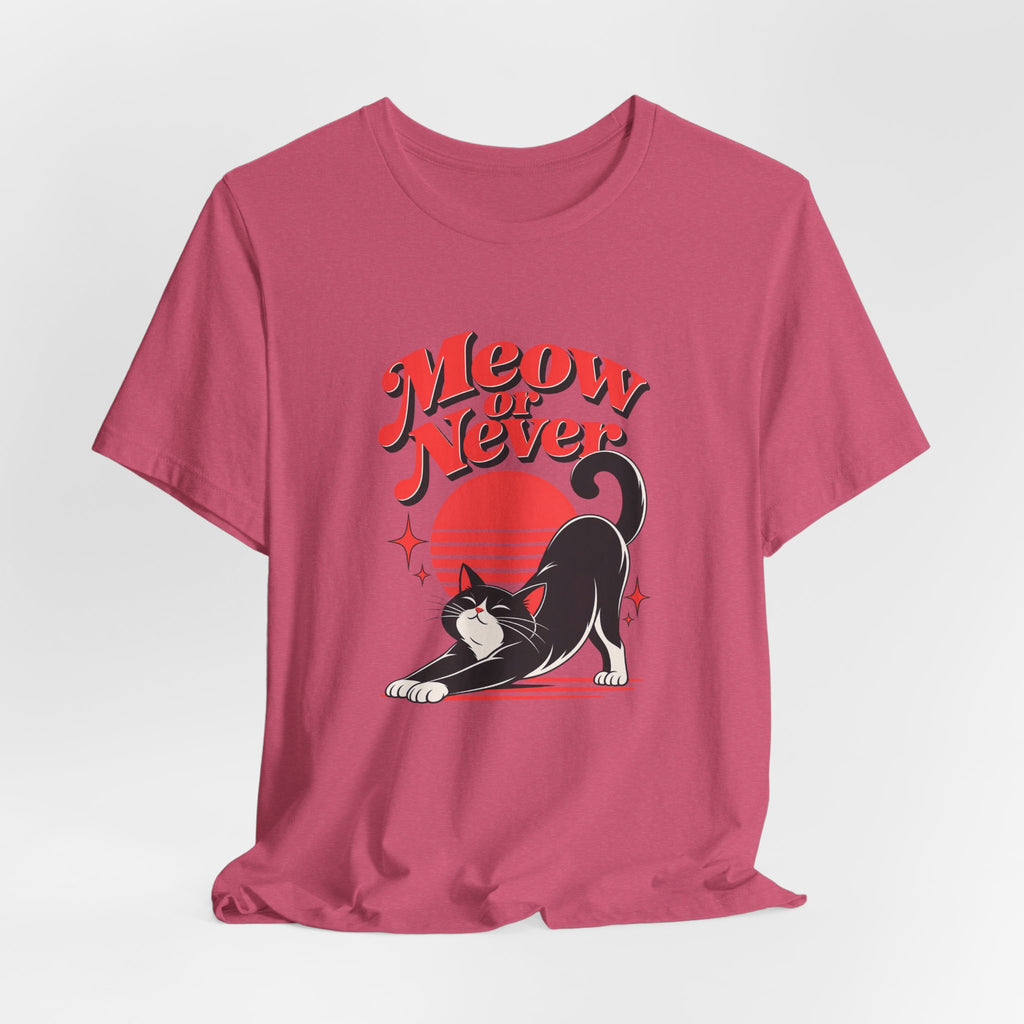 Meow or Never Funny Cat Lover T-Shirt
