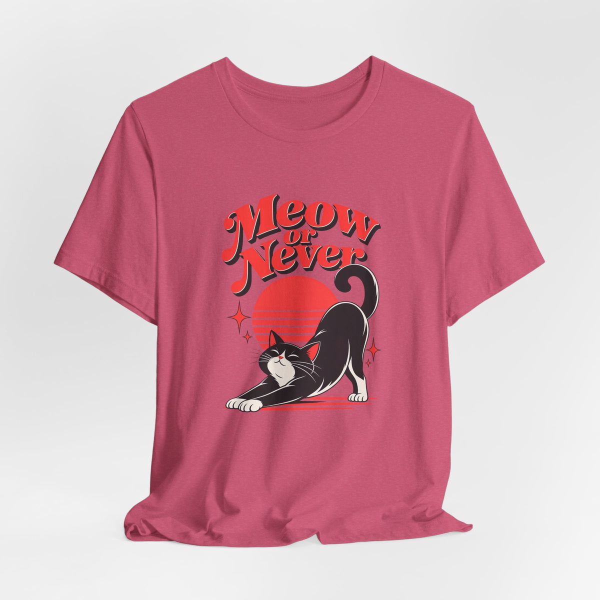 Meow or Never Funny Cat Lover T-Shirt