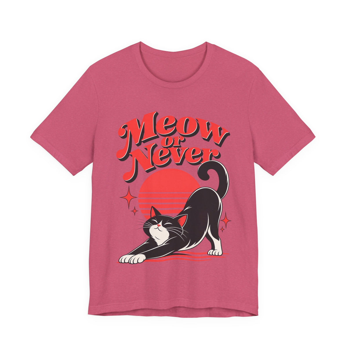 Meow or Never Funny Cat Lover T-Shirt