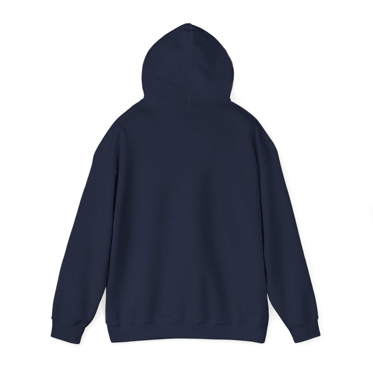 Birthday? Try Next Year Funny Sarcastic Hoodie