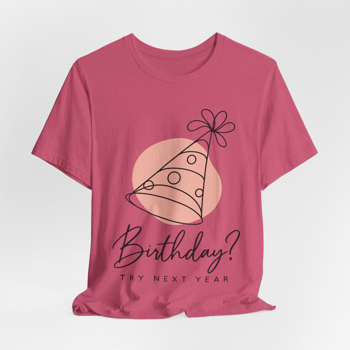 Birthday? Try Next Year Funny Sarcastic T-Shirt