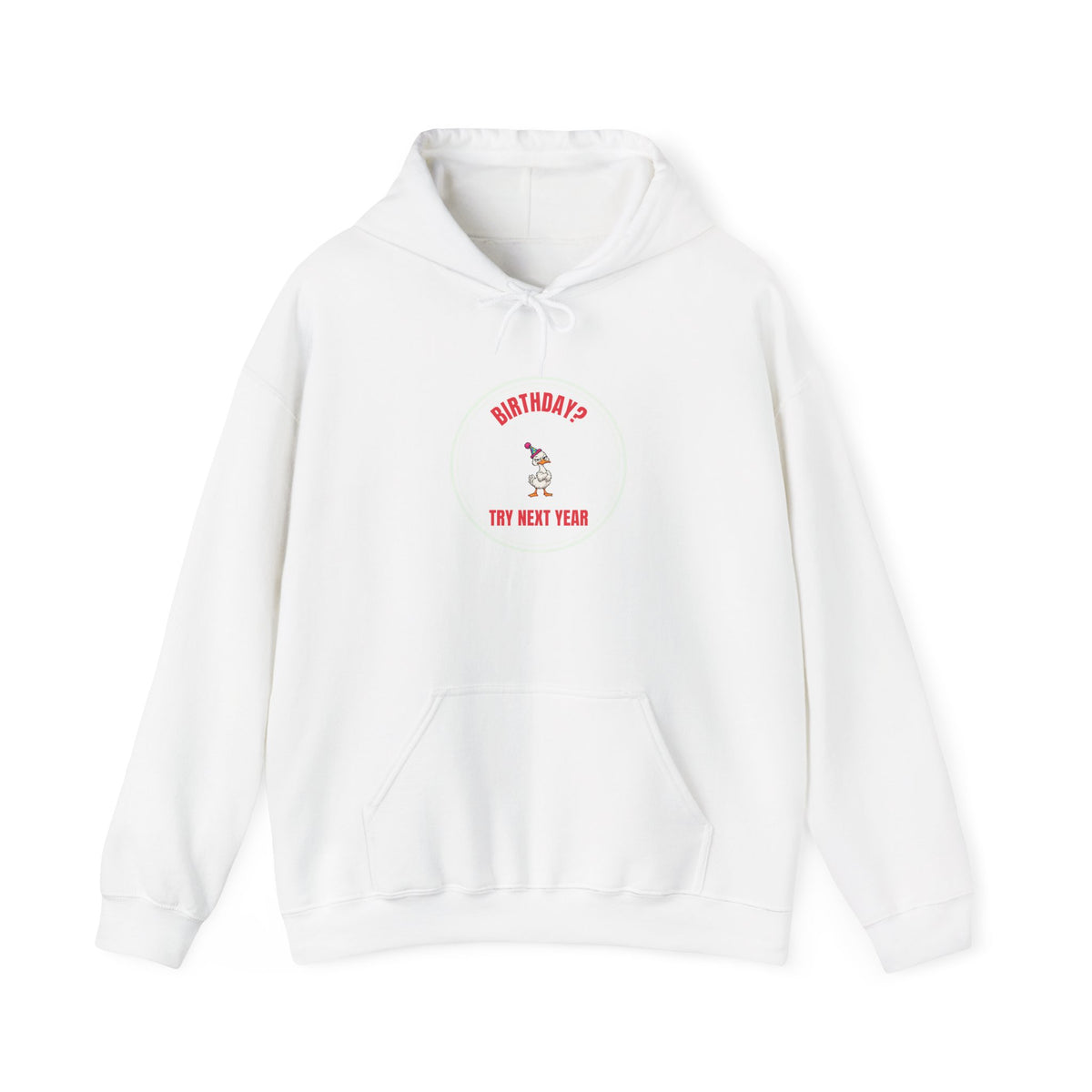 Birthday? Try Next Year Funny Sarcastic Hoodie