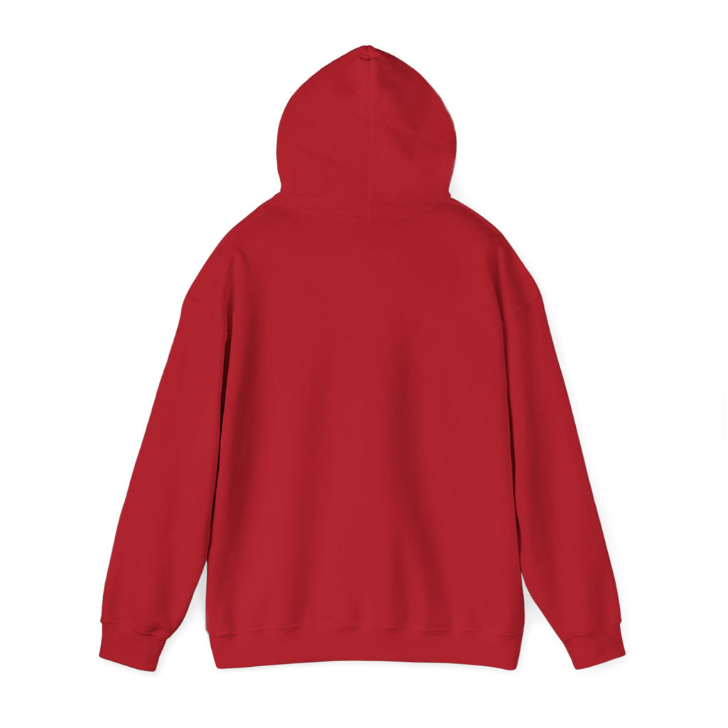 I'm Not Lazy, Just Energy Efficient Funny Casual Hoodie