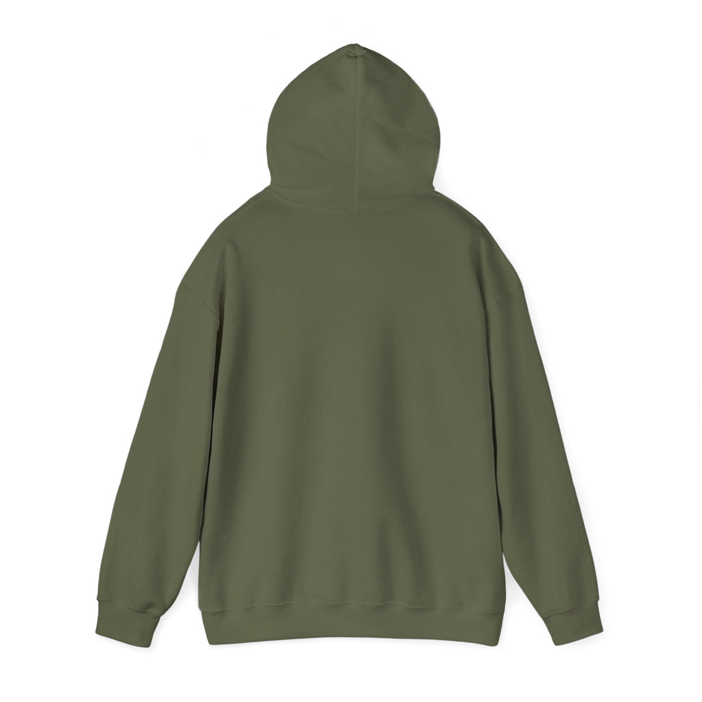 I'm Not Lazy, Just Energy Efficient Funny Casual Hoodie