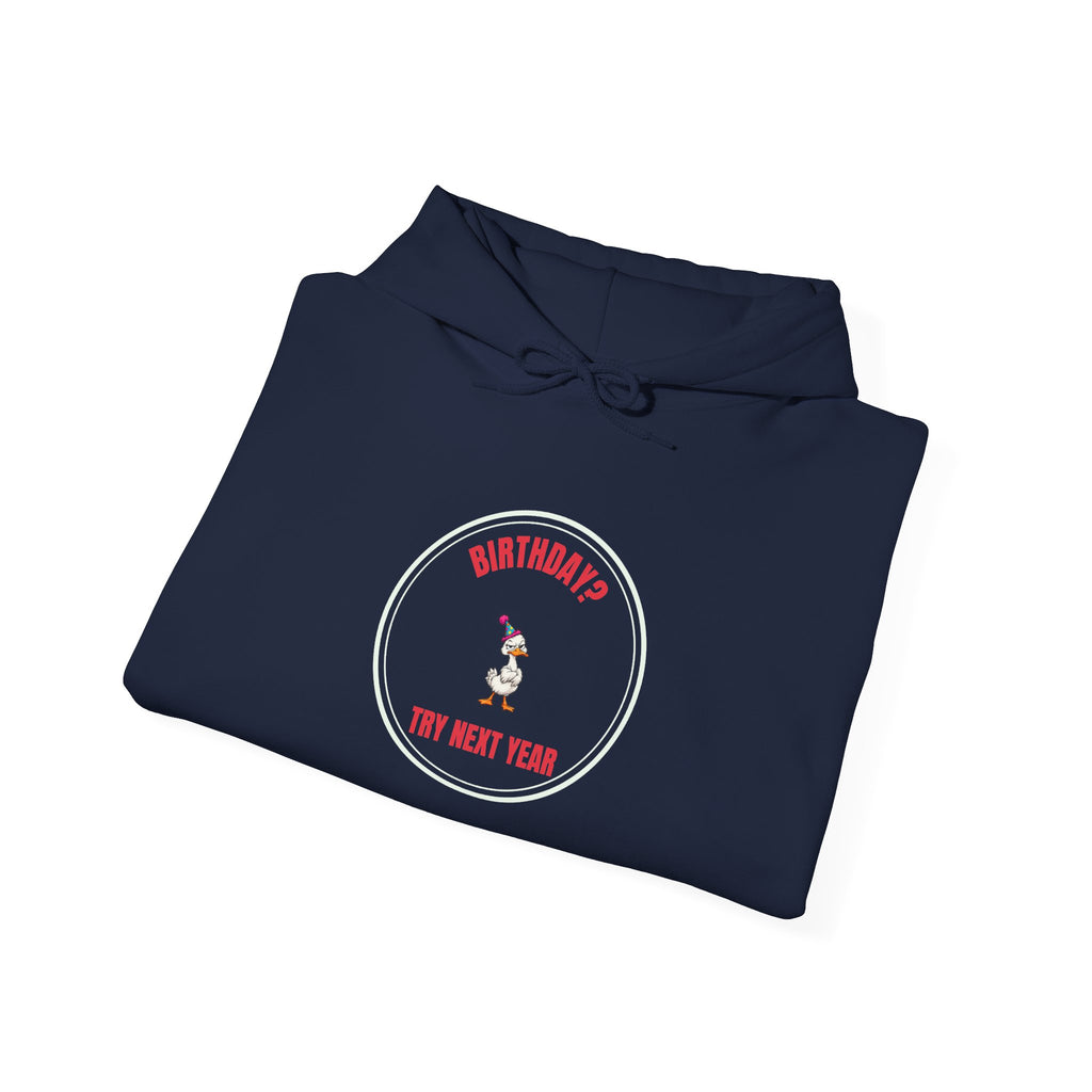 Birthday? Try Next Year Funny Sarcastic Hoodie