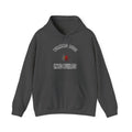 Turning Bugs into Builds Funny Programmer Hoodie